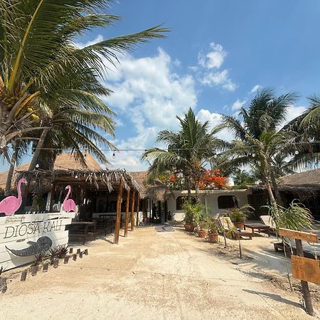 La Diosa Kali Beach Front Hotel Isla Holbox Екстер'єр фото