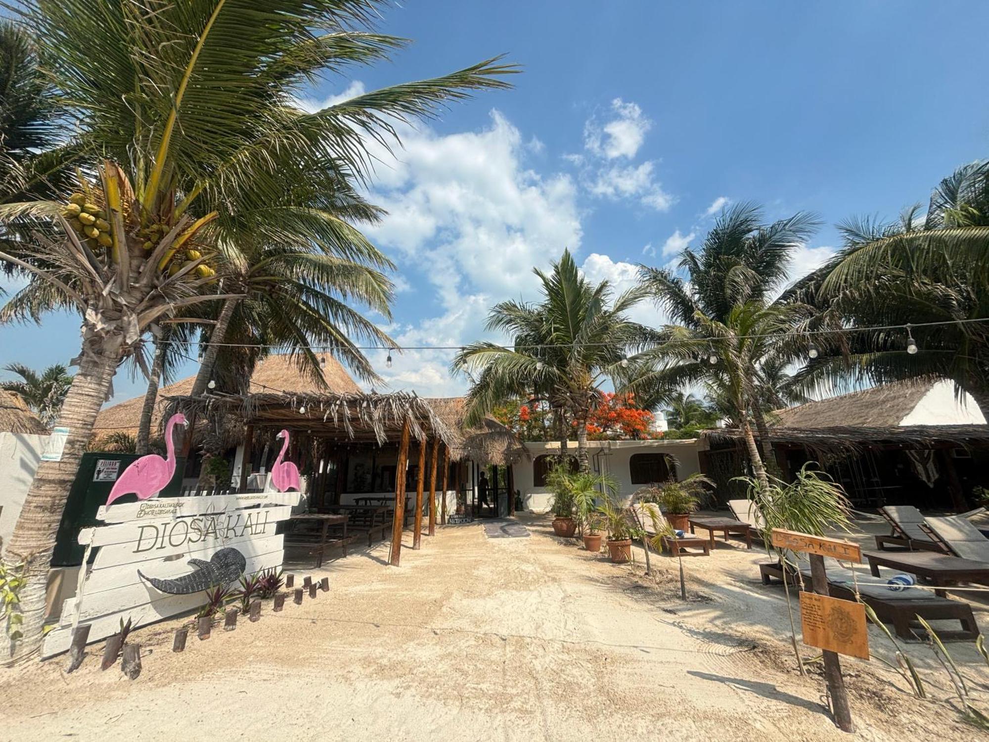 La Diosa Kali Beach Front Hotel Isla Holbox Екстер'єр фото