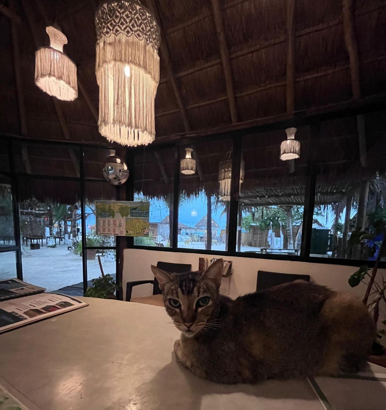 La Diosa Kali Beach Front Hotel Isla Holbox Екстер'єр фото