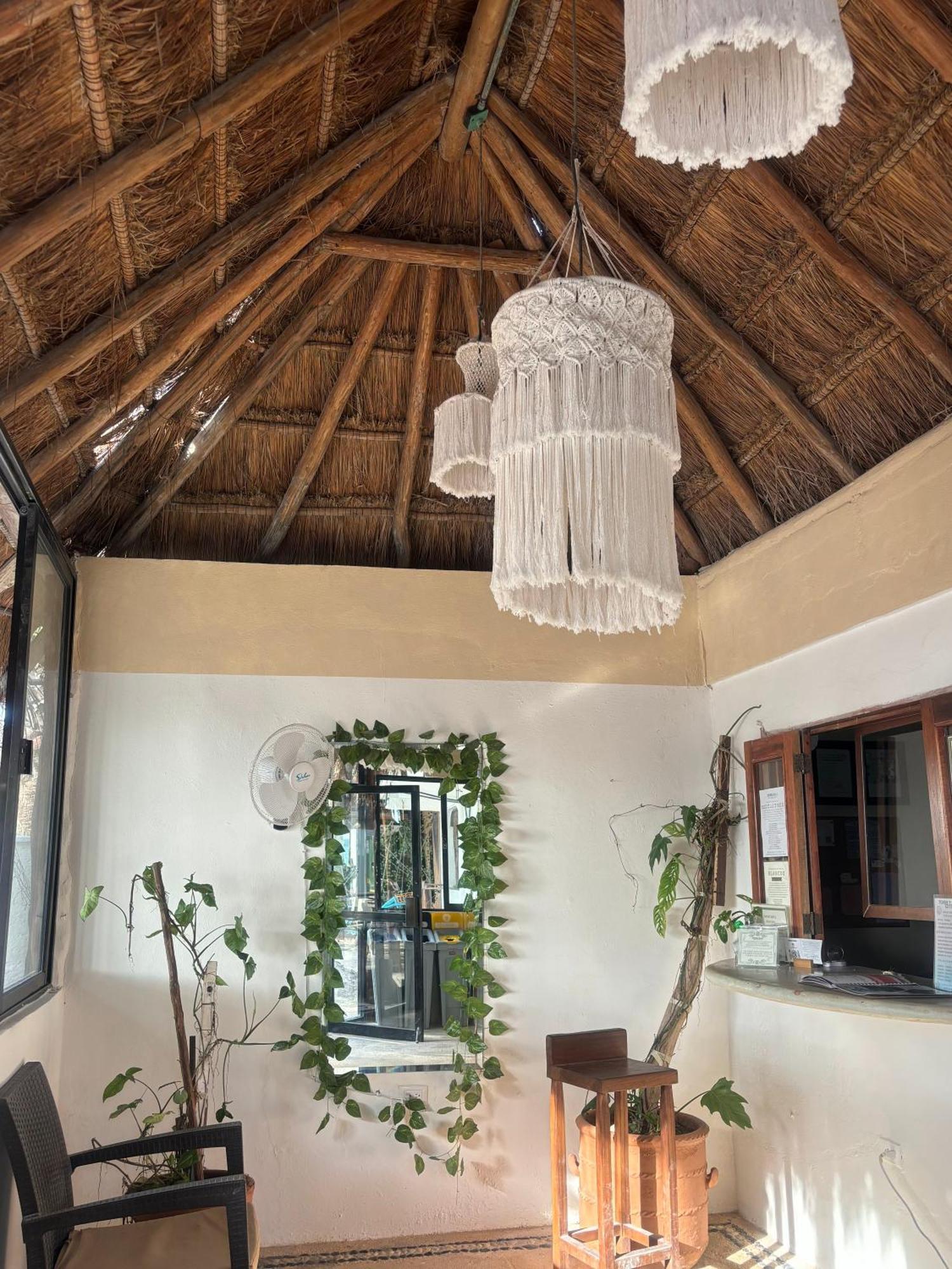 La Diosa Kali Beach Front Hotel Isla Holbox Екстер'єр фото